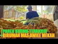 Download Lagu SEPERTI INI KERJA DIARAB DENGAN GAJI PULUHAN JUTA