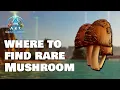 How to get RARE MUSHROOM - Island