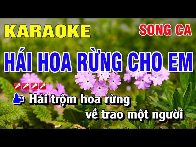 Karaoke Hái Hoa Rừng Cho Em Song Ca Nhạc Sống | Nguyễn Linh