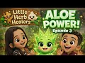 Little Herb Healers - Episode 3 Aloe Power Sanju s Burn Healing Story