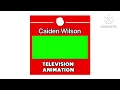 Caiden Wilson Television Animation logo 2001-2017 CWTA AU Logo Package