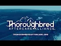 Gulfstream Park Replay Show March 14 2026