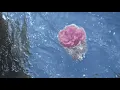 Janine - Ain't Nobody // Slowed + Reverb