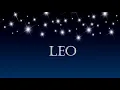 LEO They Really Like You Leo but They re Having some Challenges right now
