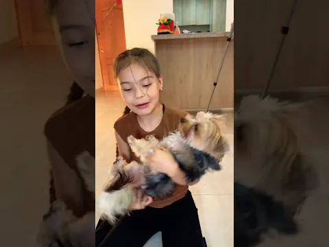 MIS PERROS NO LE GUSTA JUGAR CONMIGO 😓cute 🍒🍏🍇 #divertido #funny #familiaibañez