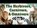 Herbivore Carnivore or Omnivore Quiz Plant Eater Meat Eater or Both Animal Diets Uncovered