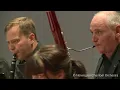 W. A. Mozart: Symphony No. 40 in g minor, K. 550, III. Menuetto Allegretto - Trio