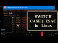 Switch Case statements in Bash Programming in Linux Shell Scripting