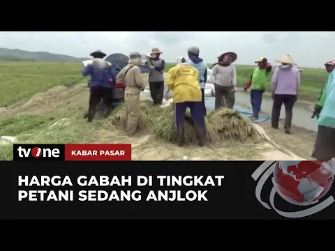 Harga Beras Naik, Tapi Harga Gabah di Tingkat Petani Justru Anjlok