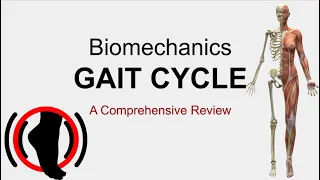 Download Biomechanics - Gait Cycle MP3