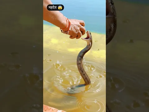 🌺🌺महादेव का चमत्कार 😱😱🌺🌺 || Mahadev 🕉️🙏#trending #viral #shorts #mahadev