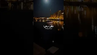 زعلني قولهم زقرت عقولهم شعر قصايد 