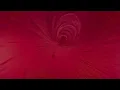 Duke Boara – Jungle (Official video)