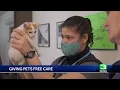 Modesto non-profit offers free veterinary care