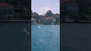 ليس هناك جمال كجمال اسطنبول 