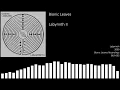 Bionic Leaves - Labyrinth II