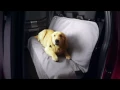 WeatherTech Seat Protector Up Close Look www candhautoaccessories net
