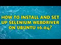 Ubuntu How to install and set up Selenium webdriver on Ubuntu 16 04 2 Solutions