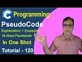What is Pseudocode C Programming Tutorials - 120 Pseudocode in one shot with multiple examples