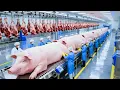 Inside the Giant Pork Ham Factory Full Process Secrets of the Billion-Dollar Meat Industry
