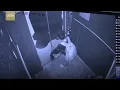 Boy uses umbrella to prevent elevator door from closing, causes free fall