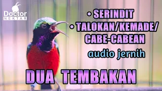 Download PANCINGAN KONIN GACOR TEMBAKAN SERINDIT DAN CABE-CABEAN/TALOKAN/KEMADE SUARA FULL ISIAN MP3