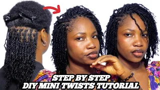 DETAILED Mini Twist Tutorial With Extension On Short Natural Hair HOTBRAIDS HUMAN KINKY BULK HAIR