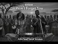 Won’t Forget You | SHOUSE 🔥 Afro Soul Version | GREKAHN