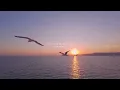 All Will Be Well: Beautiful Relaxing Music & Soft Ocean Waves | Focus, Work, Study, Sleep