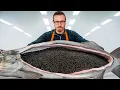 How Caviar Is Made Farm To Table