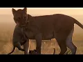 Eu te vejo em tudo - Casa Worship (COM IMAGENS)