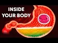 Download Lagu A Journey Inside Your Body