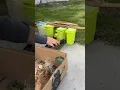 Best Toy Garbage Truck Trash Day Song for Kids