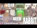 What You Need When You Get A Rabbit