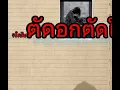ตัดอกตัดใจ - วุฒิ ป่าบอน feat.วันใหม่ ยูนิคอร์น