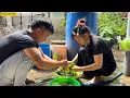 Download Lagu Bữa Cơm Quê Đơn Giản_ CÁ Ồ Kho Nước Dừa.. Ngon Thiệt Sự
