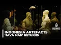 Indonesia welcomes return of Java Man first fossil evidence of Homo erectus