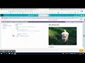 Code org Lesson 9 Using Images Coding the Img tag