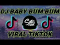 dj baby bum bum tiktok remix viral