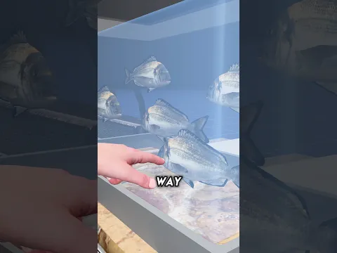 Live fish scam at a store ๐ก๐ฑ