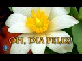 Hinário Adventista 234 - OH, DIA FELIZ!