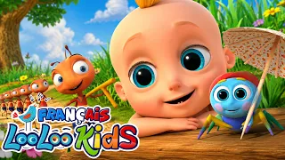 🐜Les Fourmis Marchent + L'araignée Gipsy - Comptines Bébé - LooLoo Kids Français