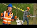 Tree Trimming, Chainsaw, and Squirrels with Handyman Hal | Lawn Care Tree Service
