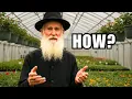 How the Amish HEAT a Winter Greenhouse WITHOUT GAS or ELECTRICITY