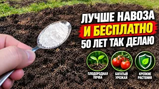 1 ЛОЖКА на ведро воды и земля как новая! Пролейте этим землю для обильного урожая всего на года
