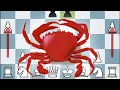 Don't Mess with the Crab Opening