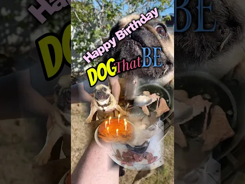 Happy 7th Birthday DogThatBe!