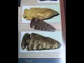 Ohio Arrowheads PICTURED Thebes Book Indian Artifacts