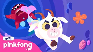 குறும்புக்கார மகரம் | ராசி நட்சத்திர கதைகள் | Tamil Rhymes | Pinkfong Baby Shark