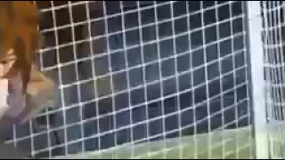 أبطال الكرة الجزء الاول الحلقة 16 